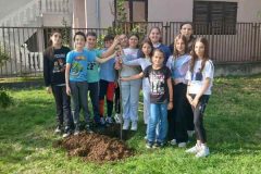 IMG-78955ef51bfb928a20bc9165ddb89100-V