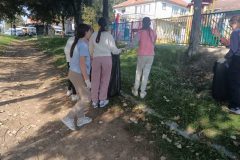 IMG-90e83efae8ee9ba2ae5a6a0b1693c448-V